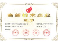 高新技術(shù)企業(yè)